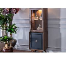 Одностворчатый шкаф витрина для посуды в гостиную Алегро ALEG-12